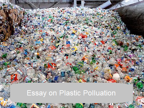 प्लास्टिक प्रदूषण पर निबंध: Long And Short Essay On Plastic Pollution In Hindi